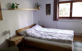 Apartment am Gifizsee Offenburg